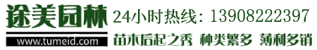 陜西德祥企業(yè)管理咨詢有限公司